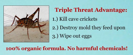 How do you kill house crickets?